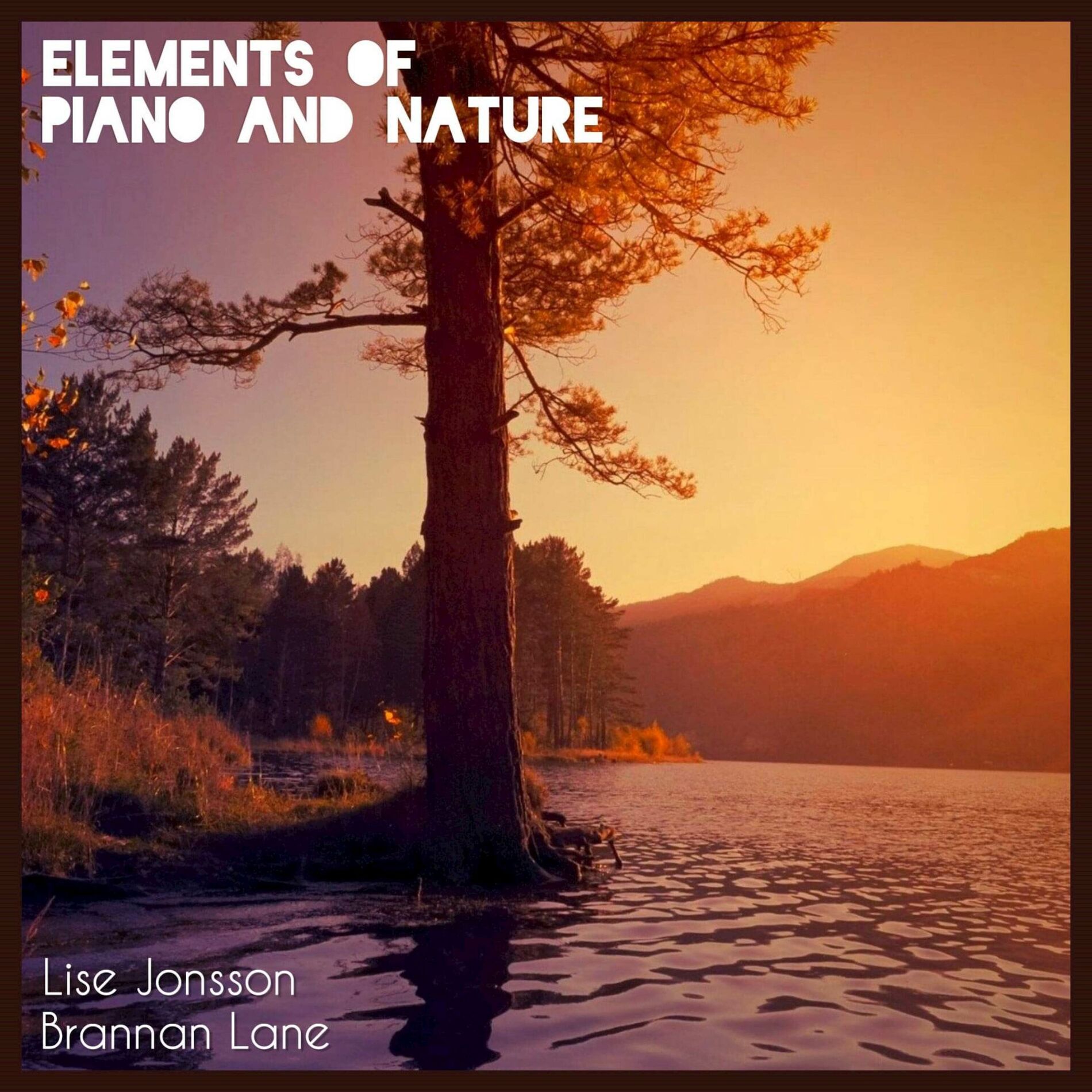 Album cover of Elements of Piano and Nature