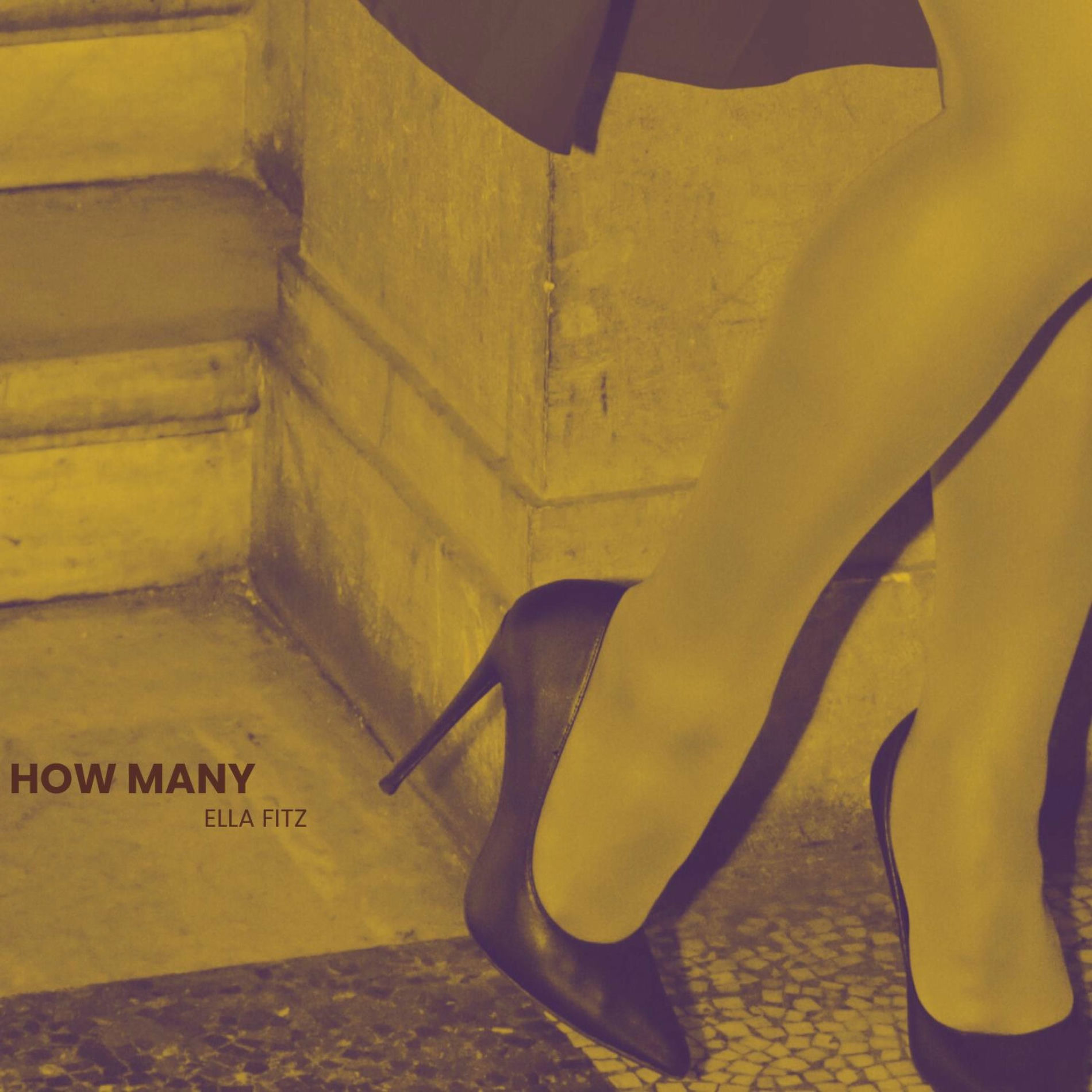 Album cover of How Many