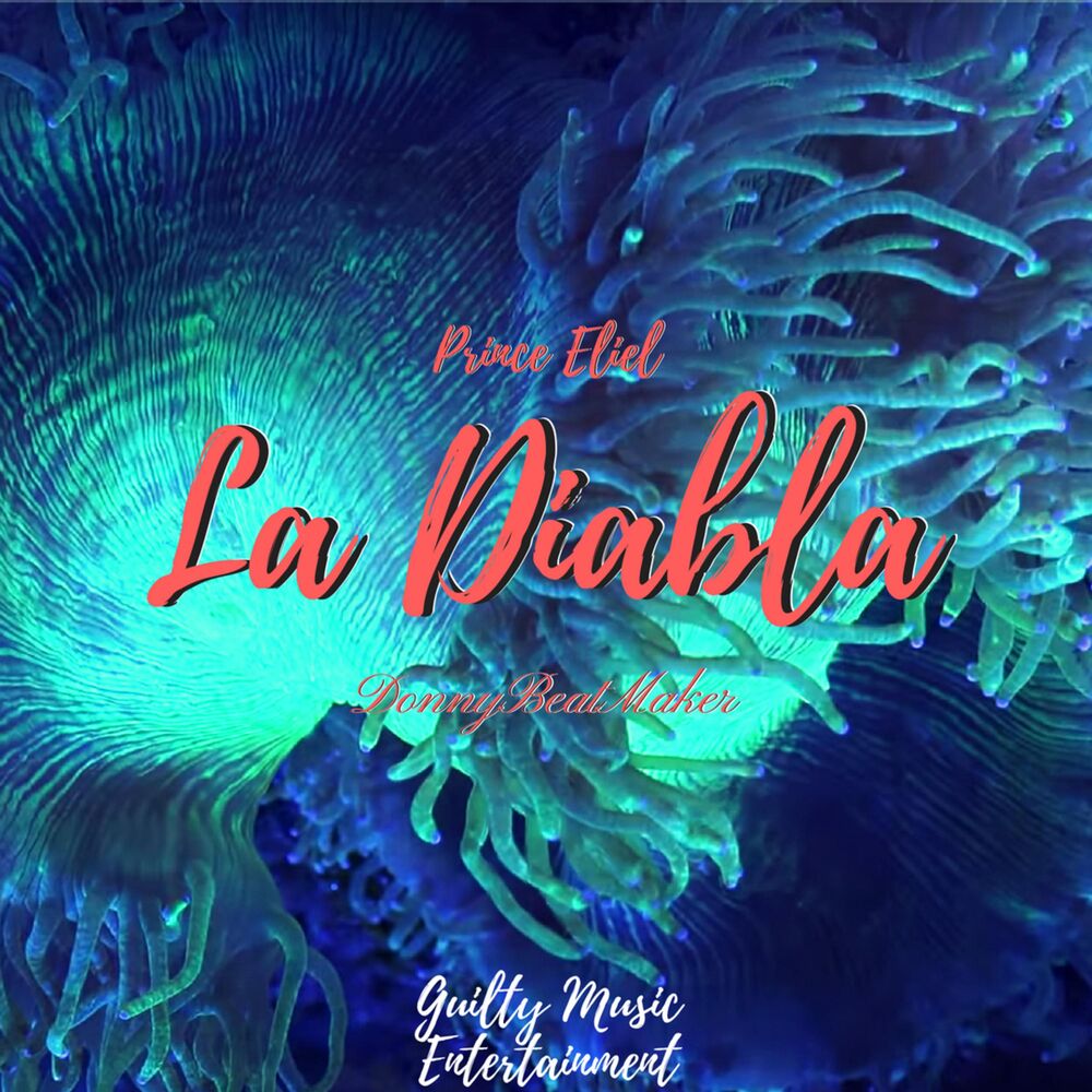 Picture of La Diabla (feat. DonnyBeatMaker)