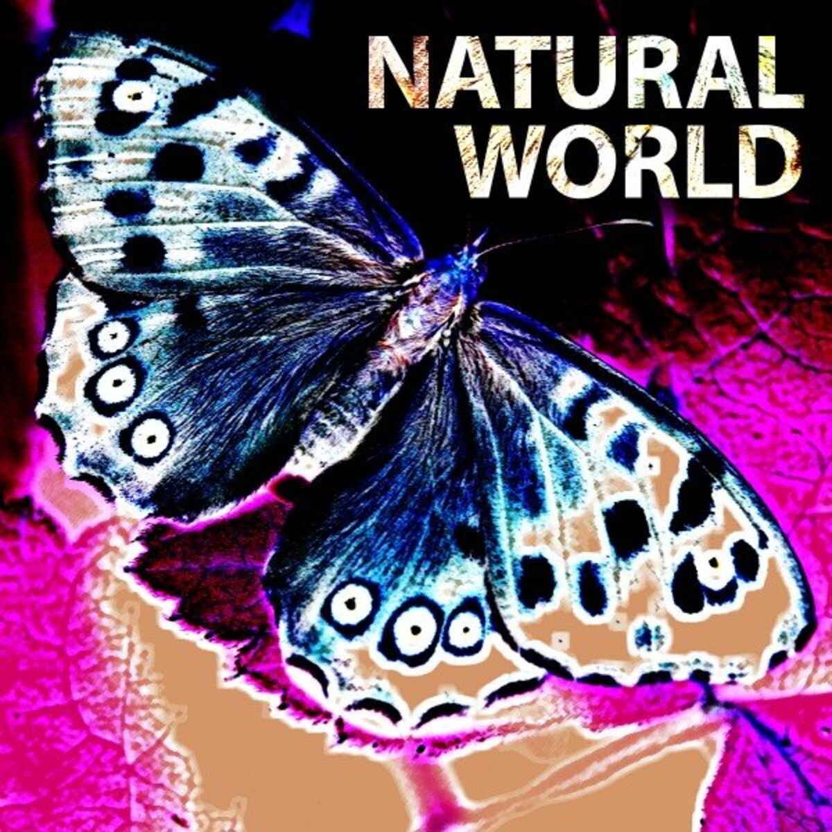 Album cover of Natural World