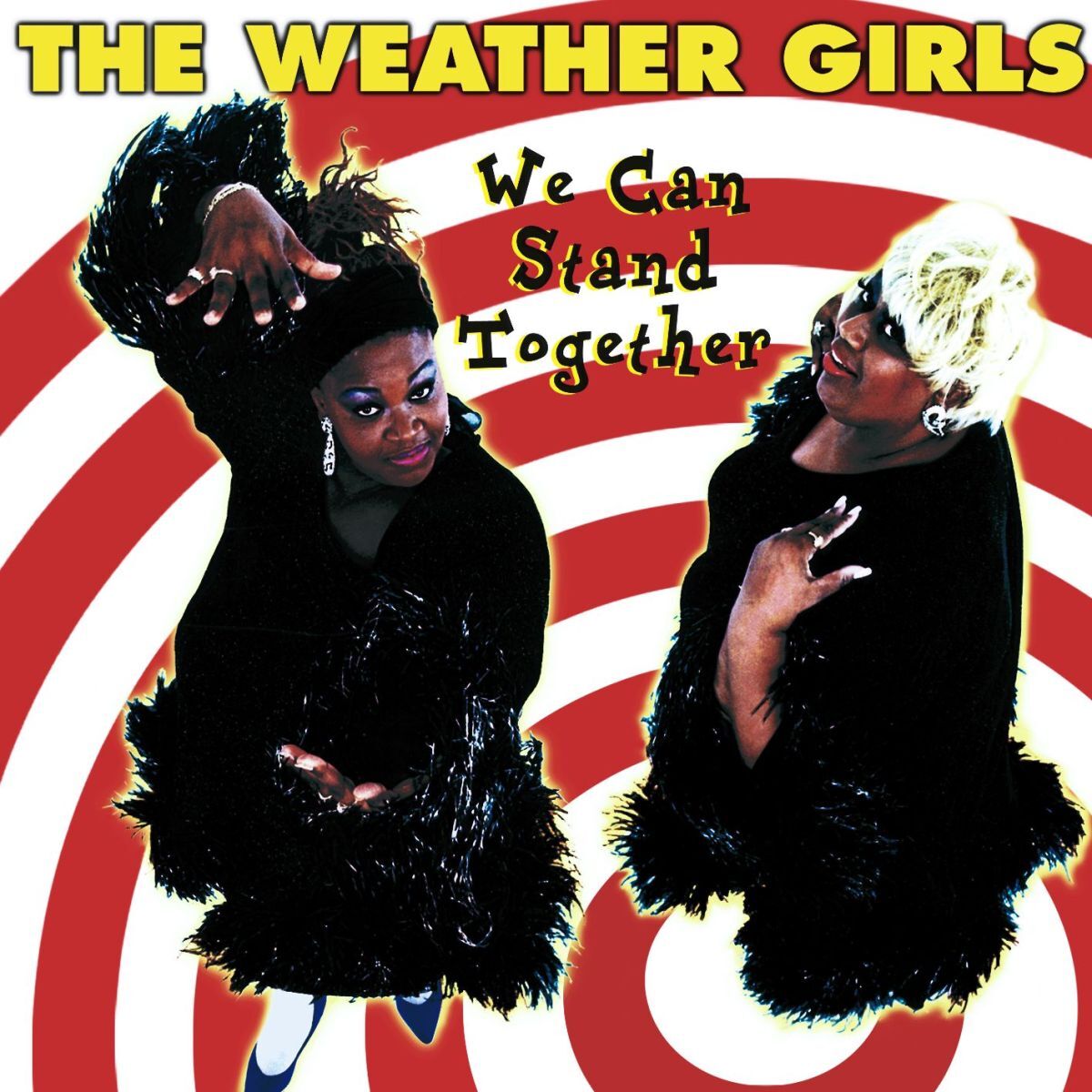 Album cover of We Can Stand Together