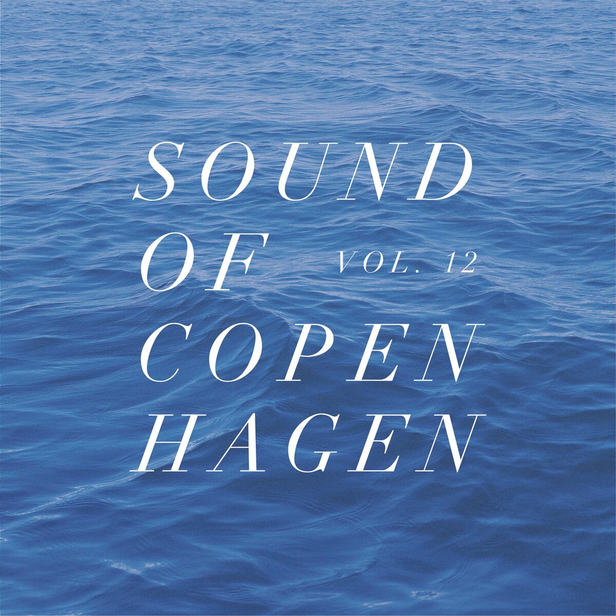Album cover of Sound Of Copenhagen Vol. 12