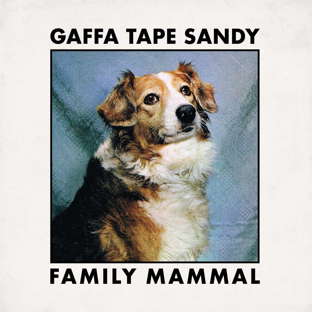 Picture of Family Mammal