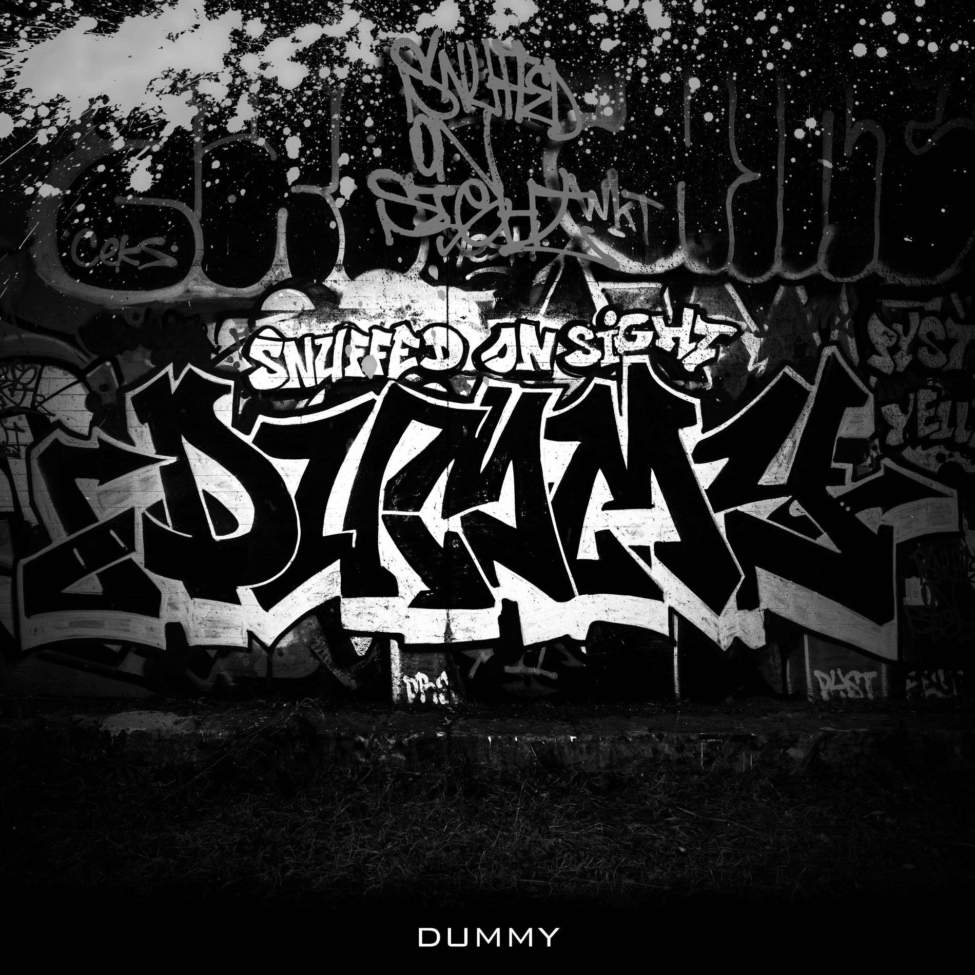 Album cover of Dummy