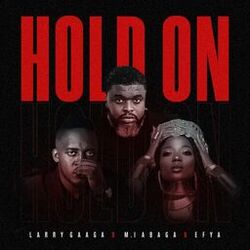 Cover of Hold On