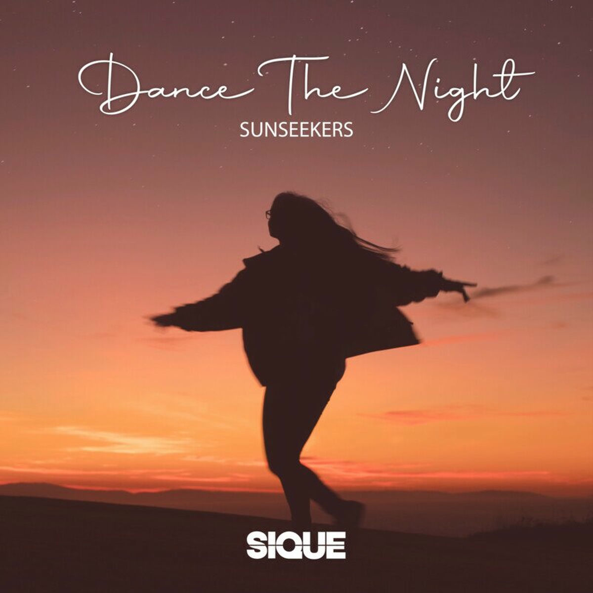 Album cover of Dance The Night