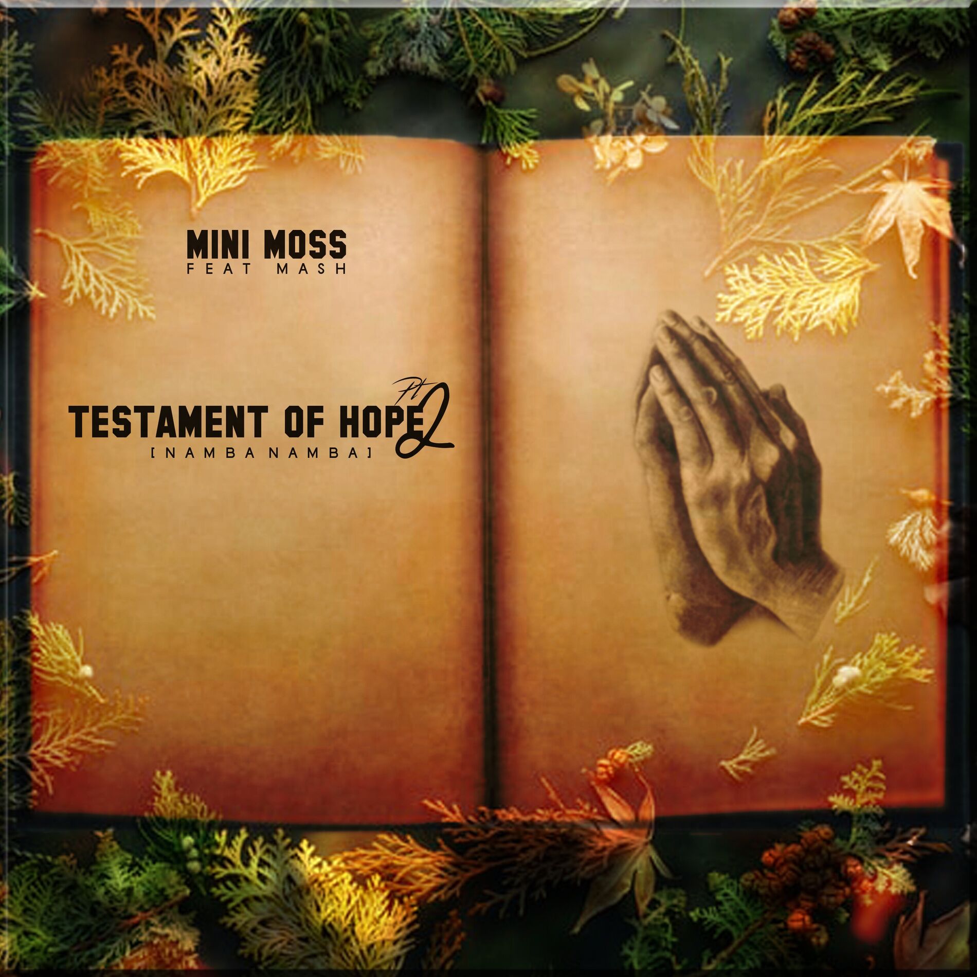 Album cover of Testament Of Hope, Pt. 2 (Nambanamba)