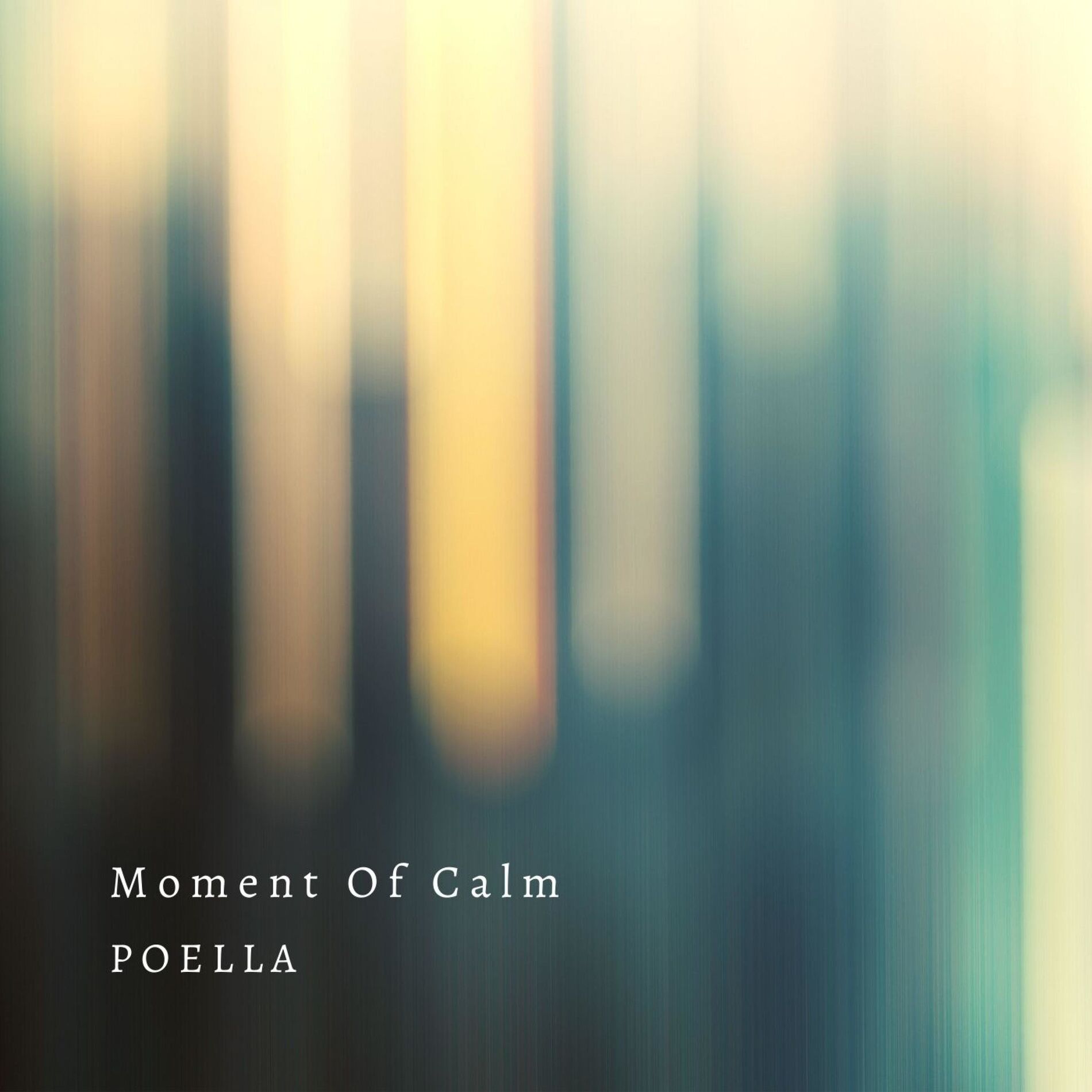 Album cover of Moment Of Calm