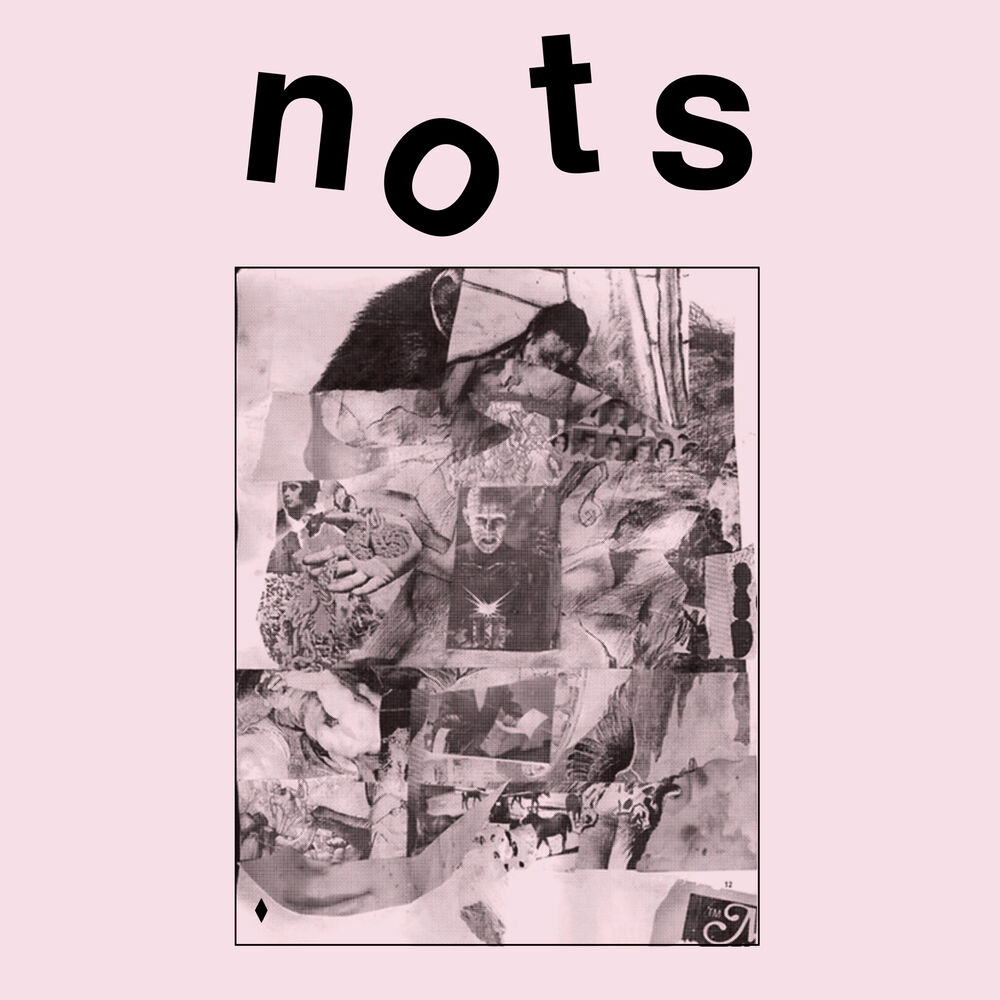 Picture of We Are Nots