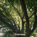 Acceptance