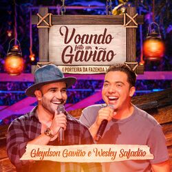 Cover of Voando Feito um Gavião (Porteira da Fazenda)