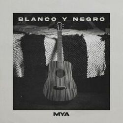 Cover of BLANCO Y NEGRO