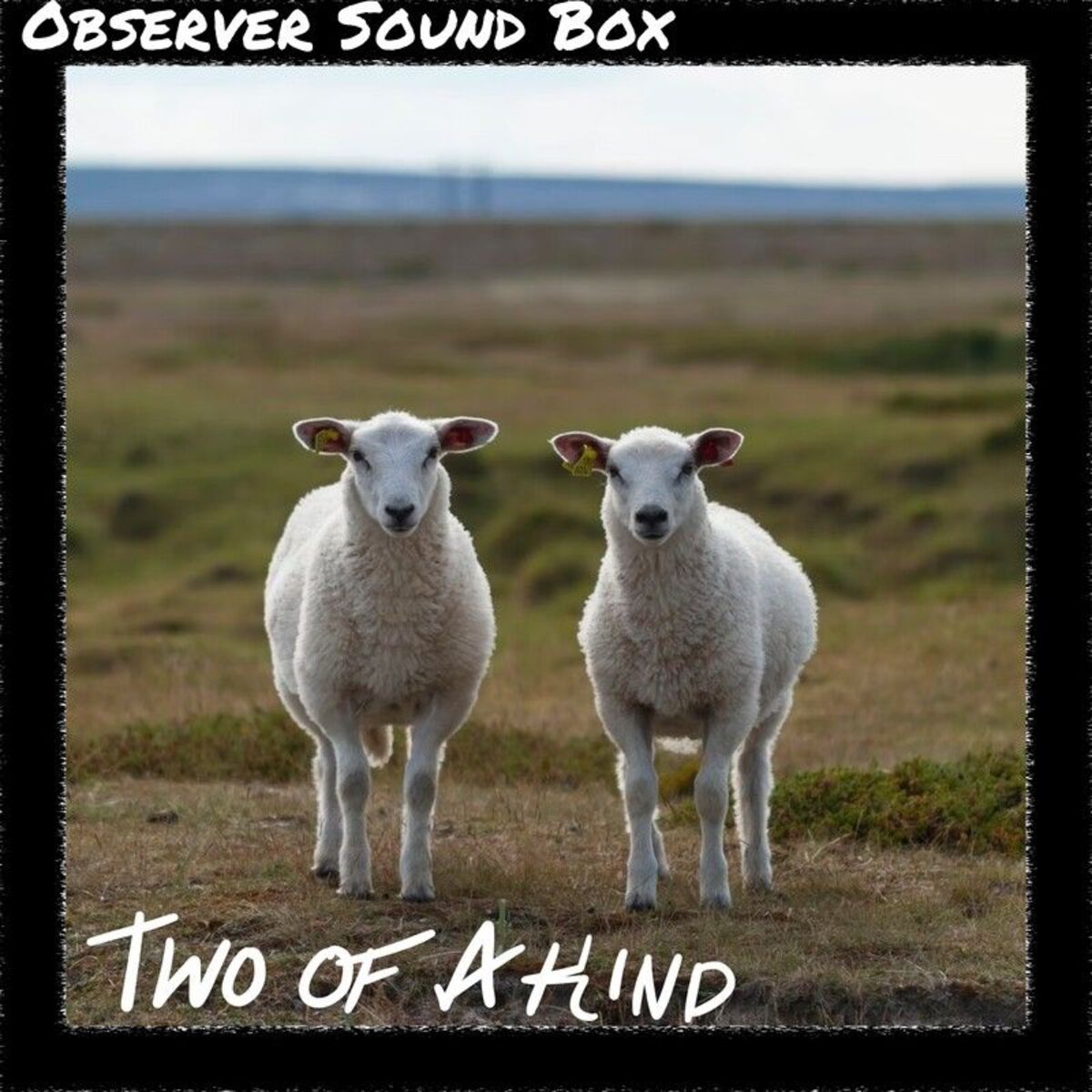 Album cover of Two Of A Kind