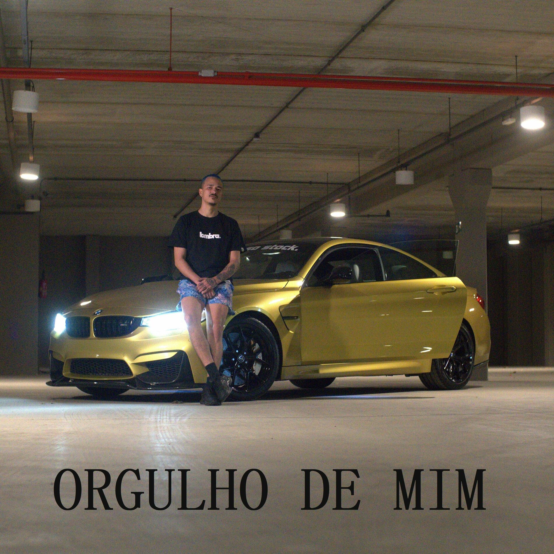 Album cover of Orgulho de Mim