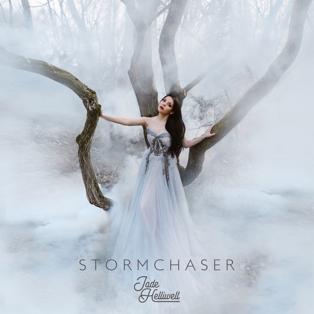 Picture of Stormchaser