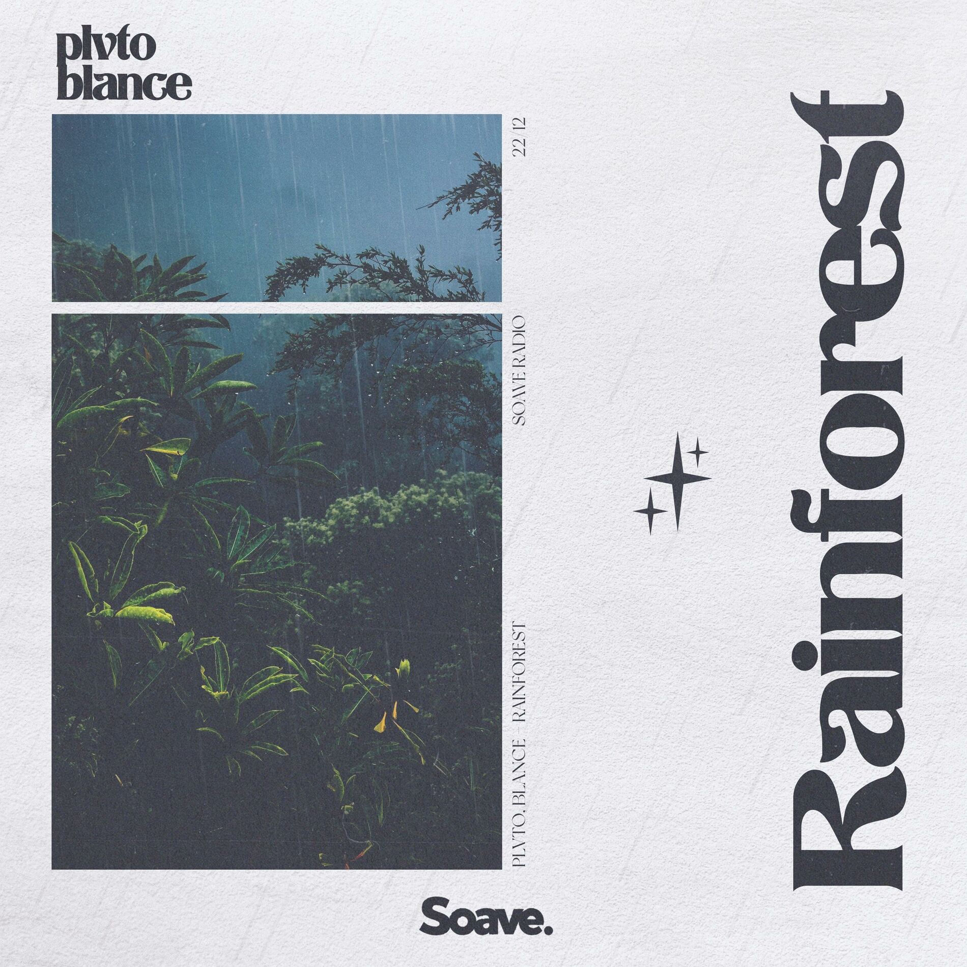 Album cover of Rainforest