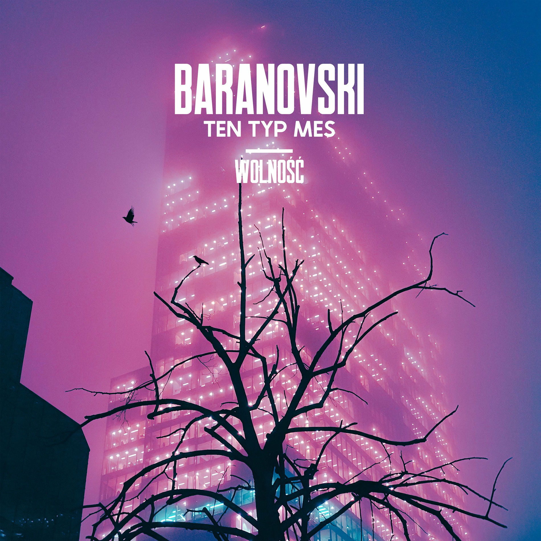 Album cover of Wolność