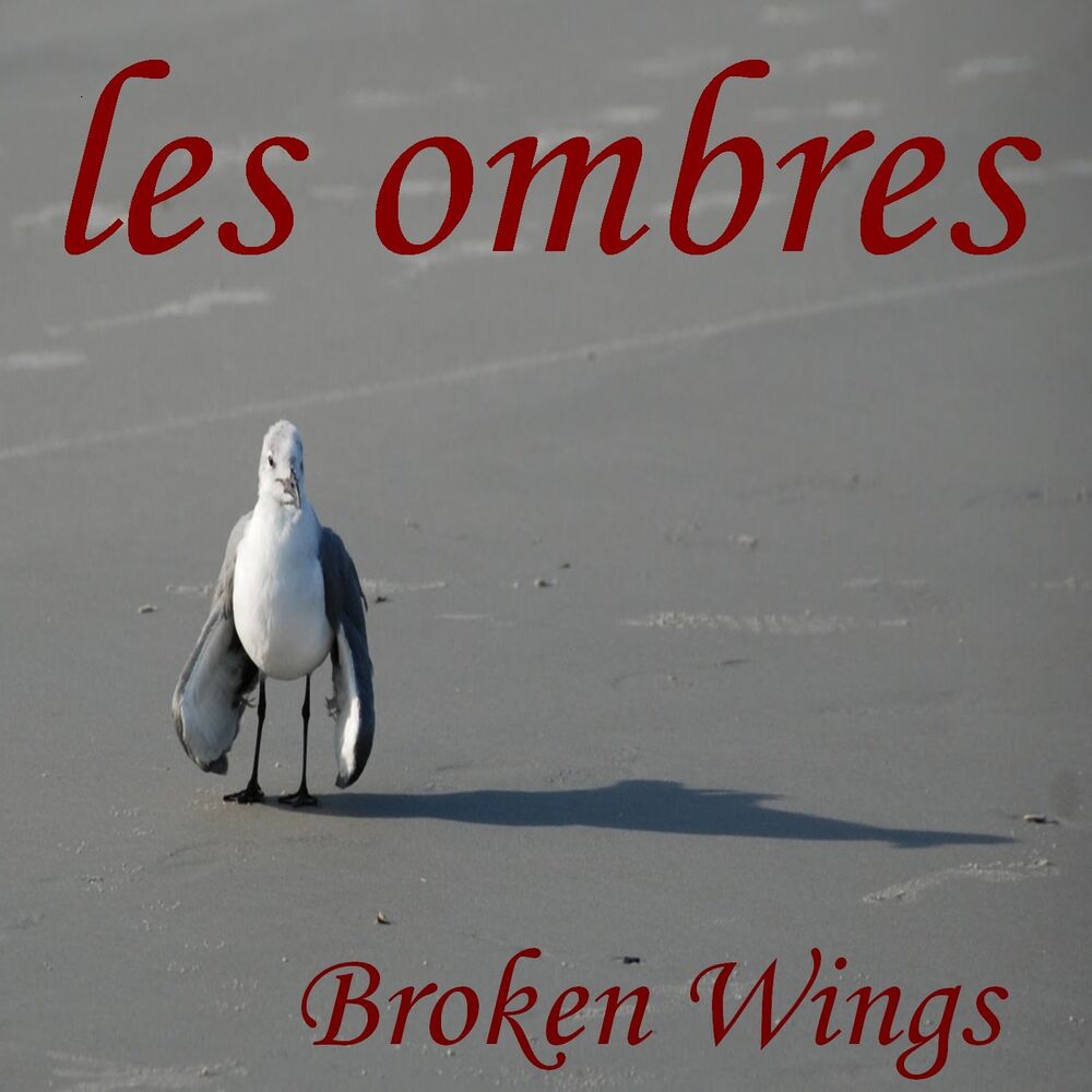 Picture of Broken Wings