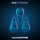 A Prophecy by Avao album cover