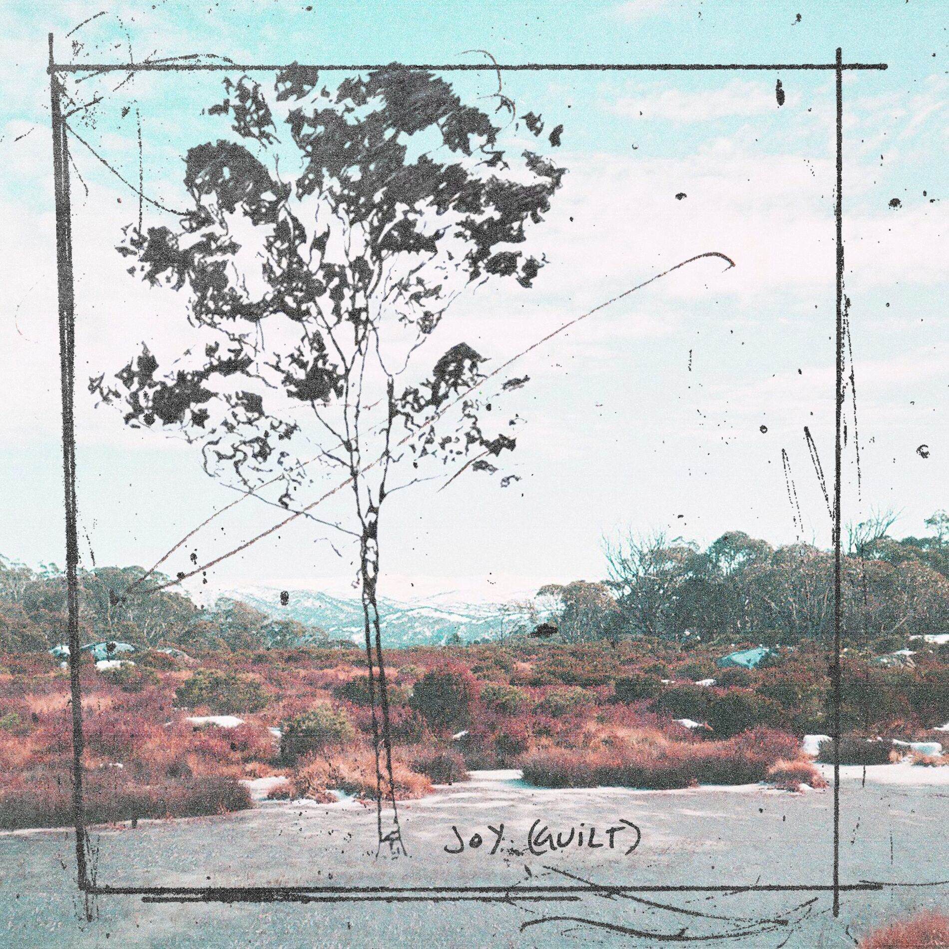 Album cover of Joy (Guilt)