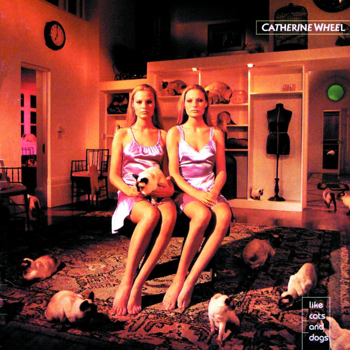 Album cover of Like Cats And Dogs