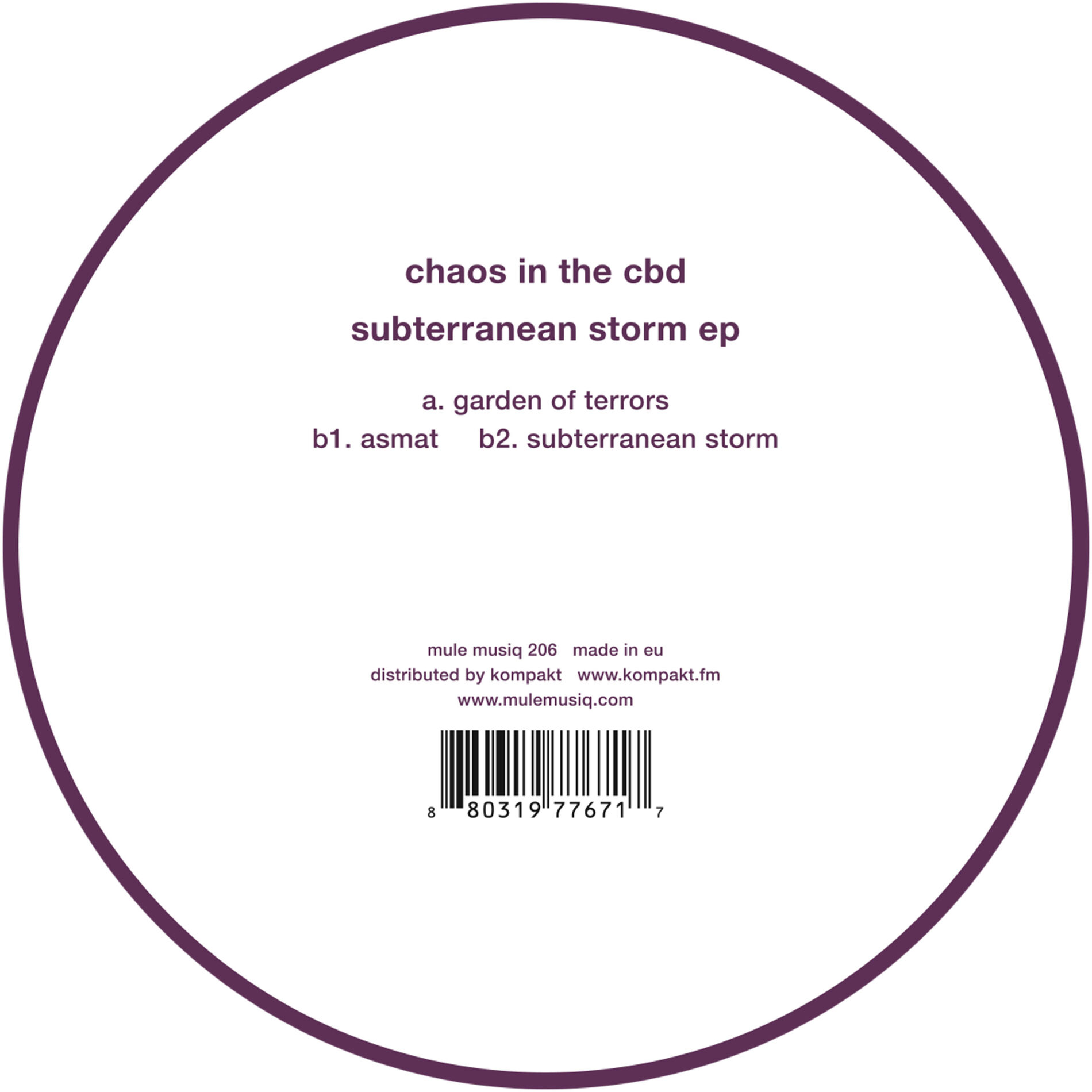 Album cover of Subterranean Storm