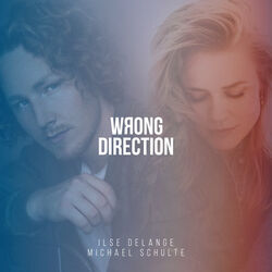 Cover of Wrong Direction