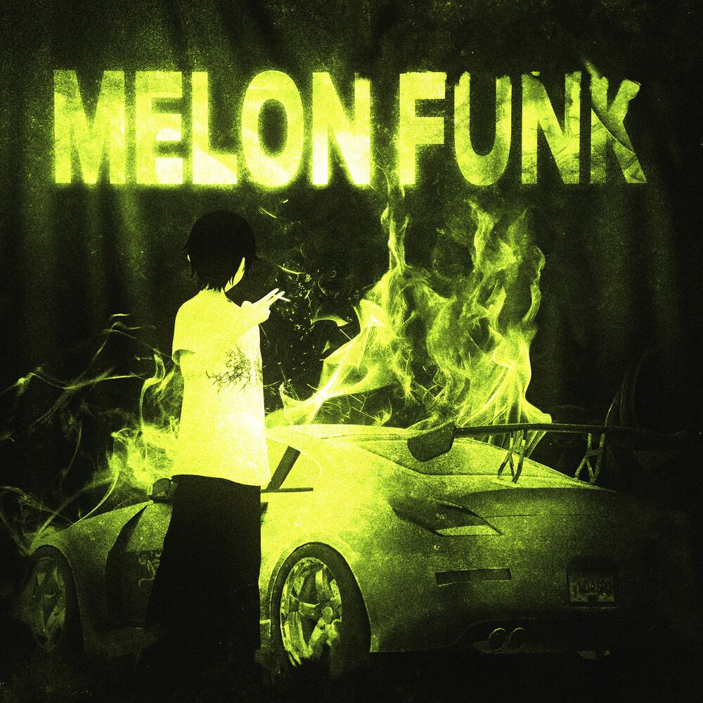 Picture of MELON FUNK
