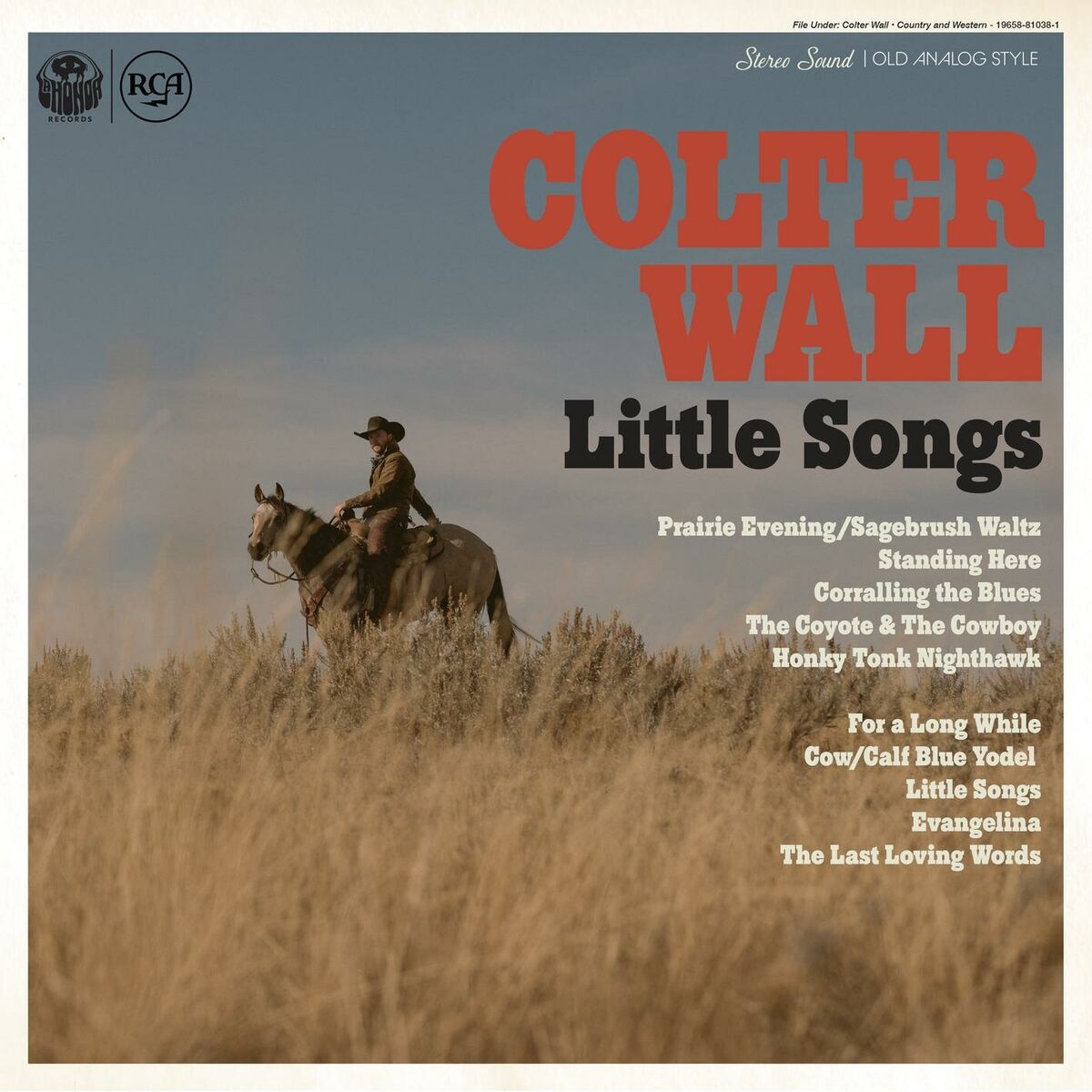 Album cover of Honky Tonk Nighthawk