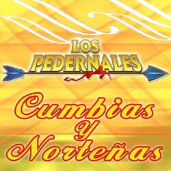 Cover of Cumbias y Norteñas