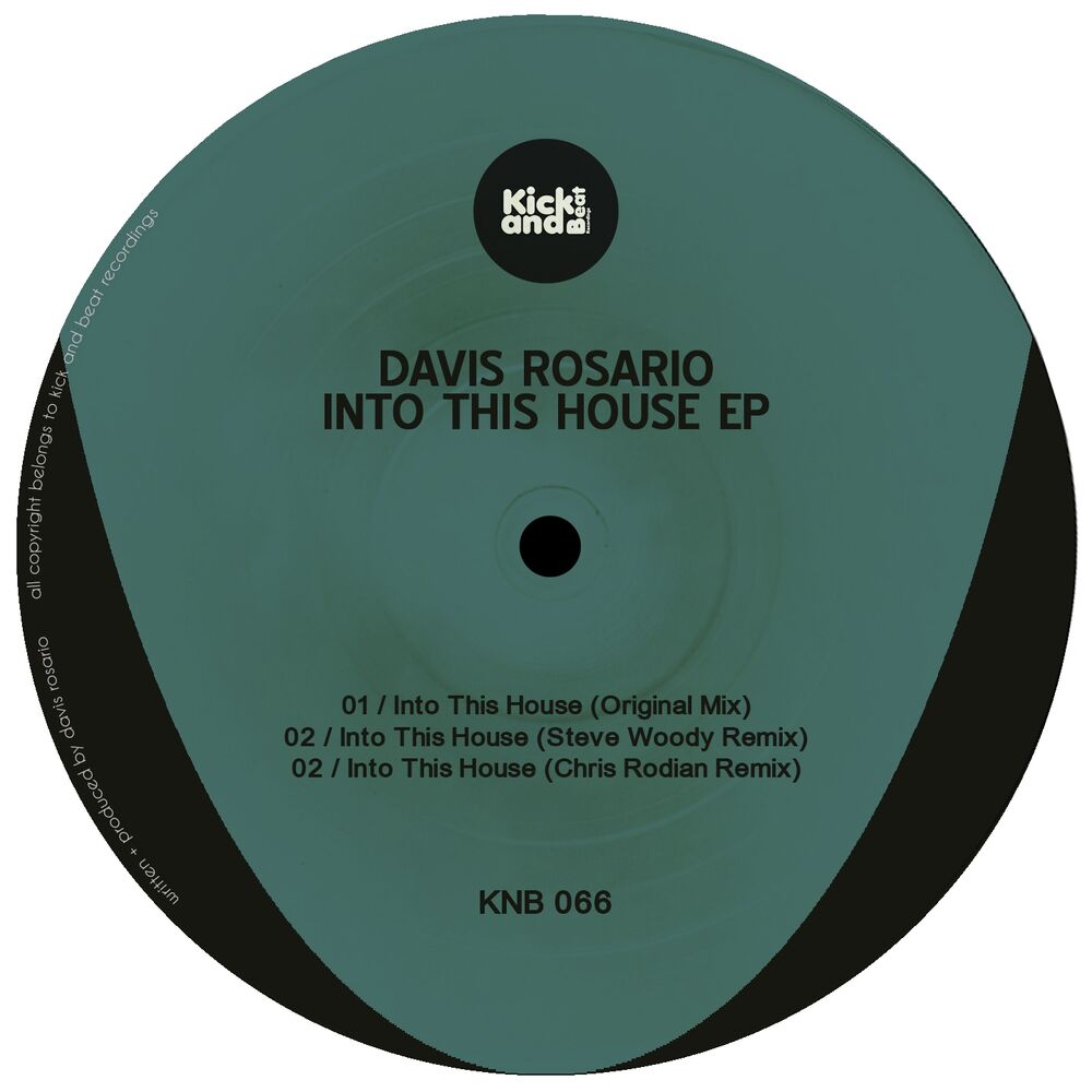 Picture of Into This House Ep (Davis Rosario)