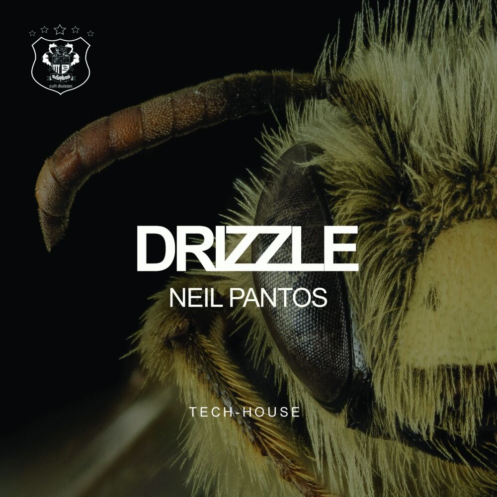 Picture of Drizzle