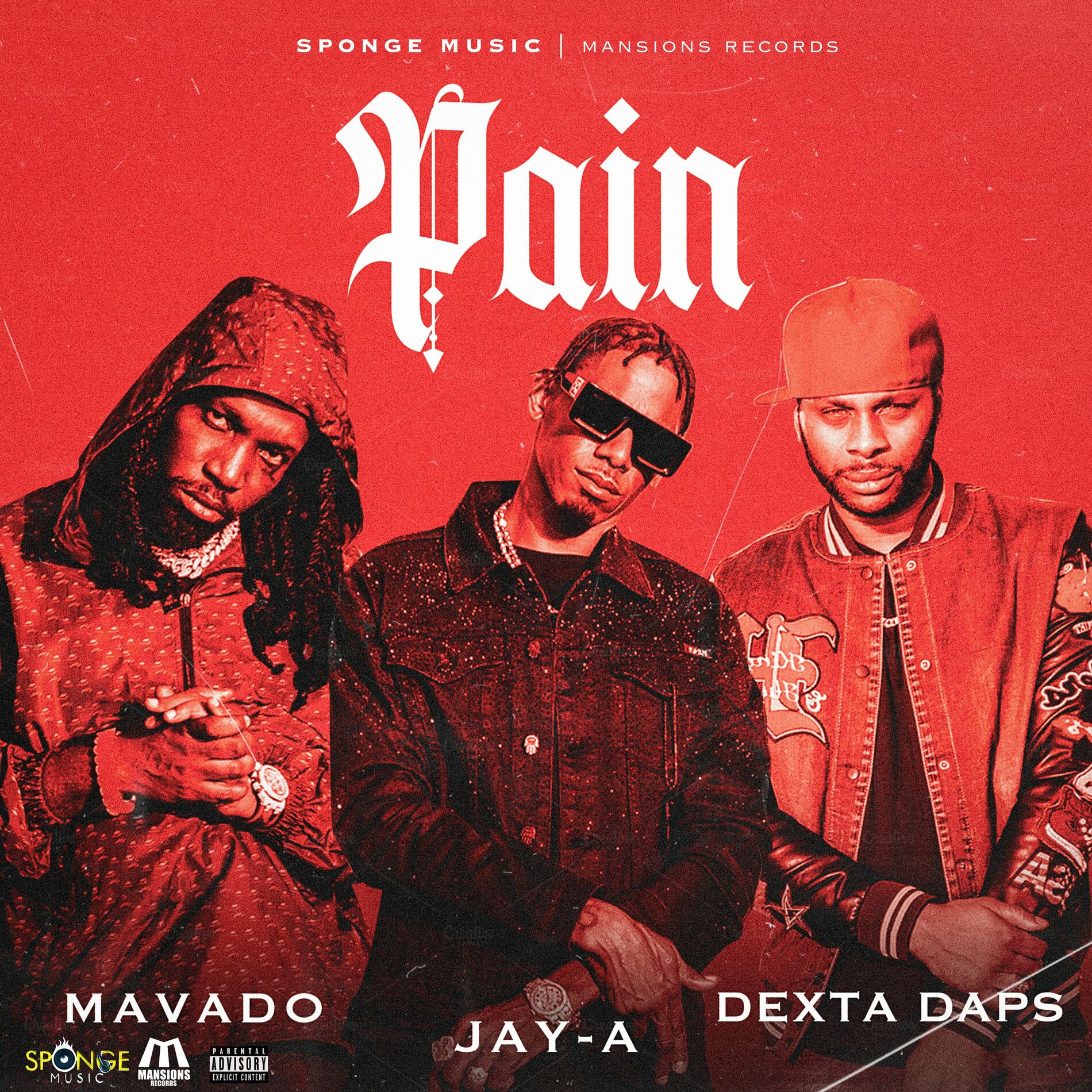 Album cover of Pain