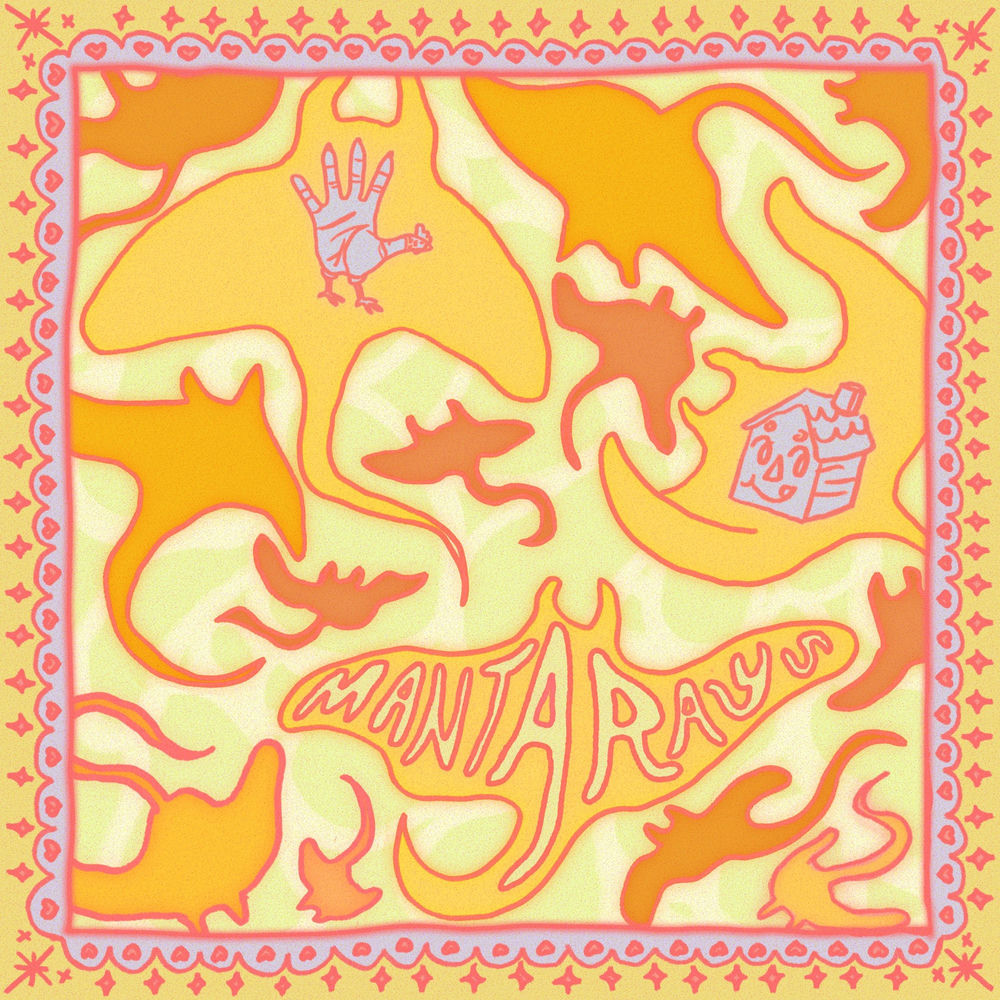 manta rays cover