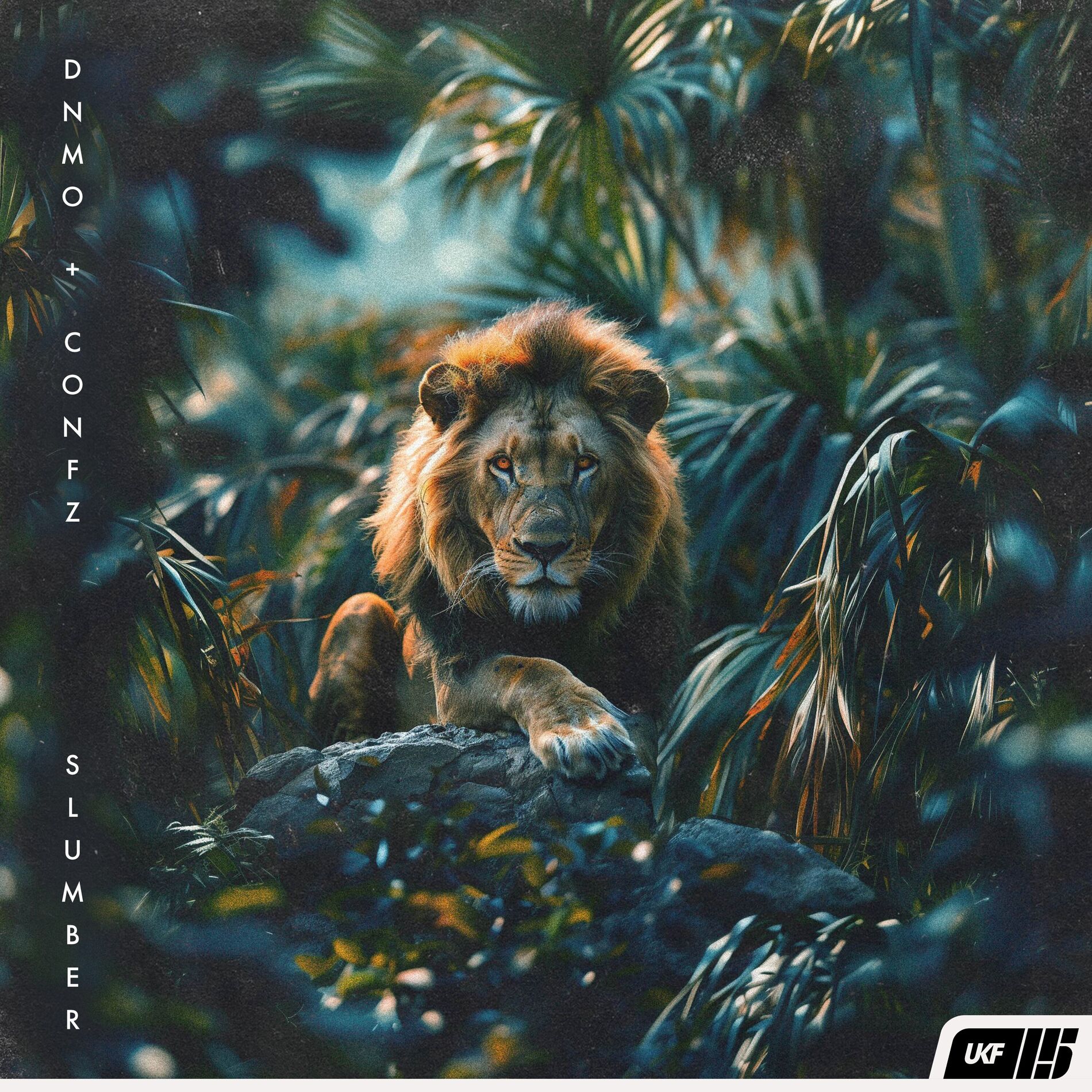 Album cover of Slumber