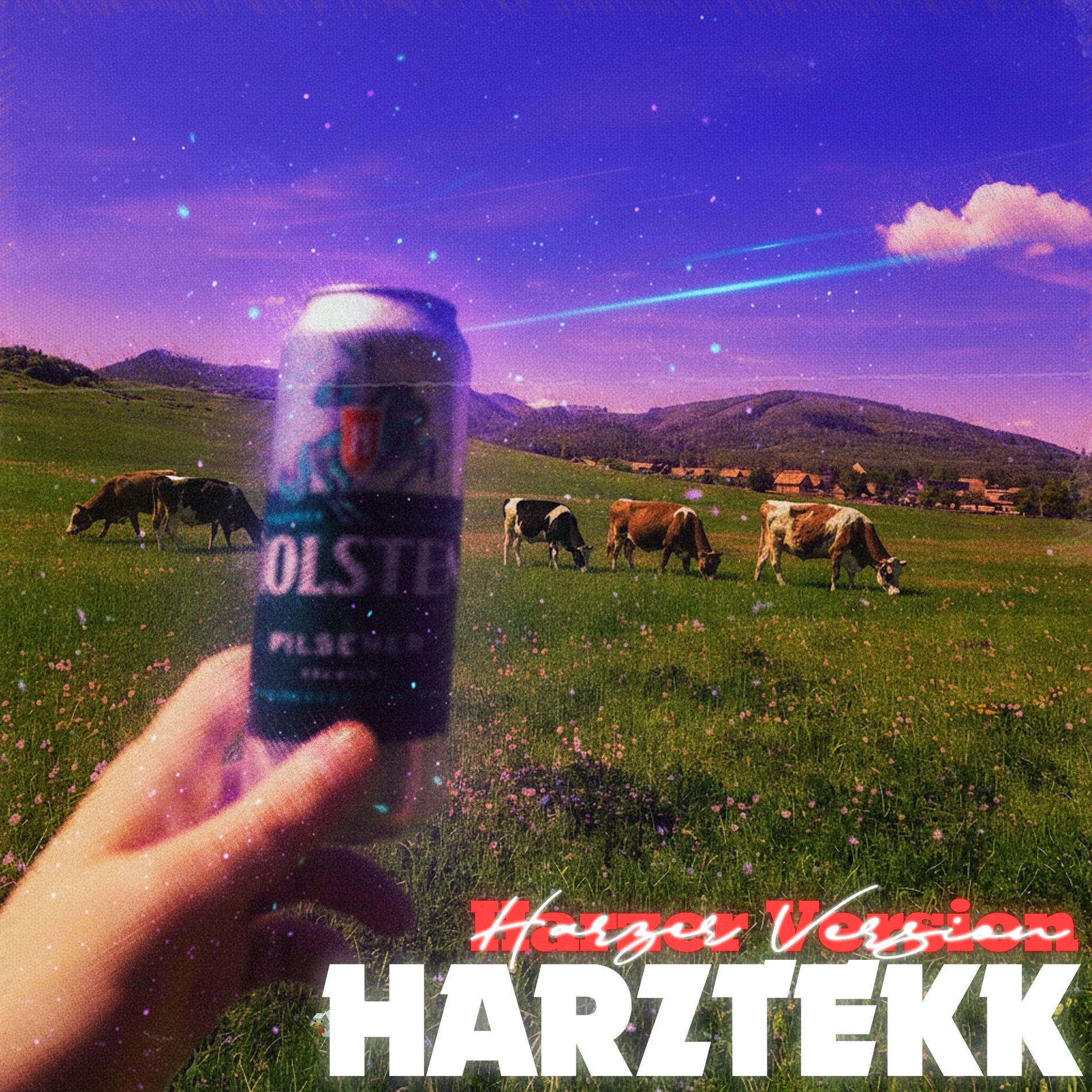 Album cover of Harztekk (Harzer Version)