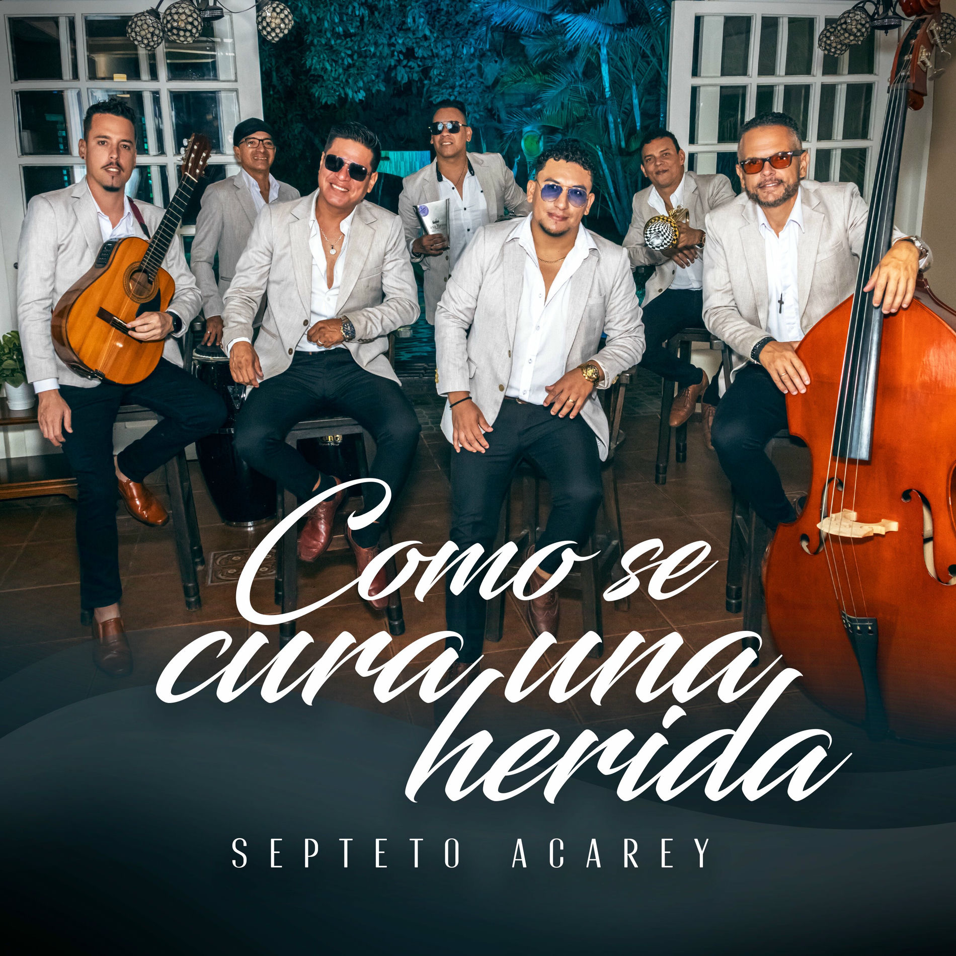 Album cover of Cómo Se Cura una Herida