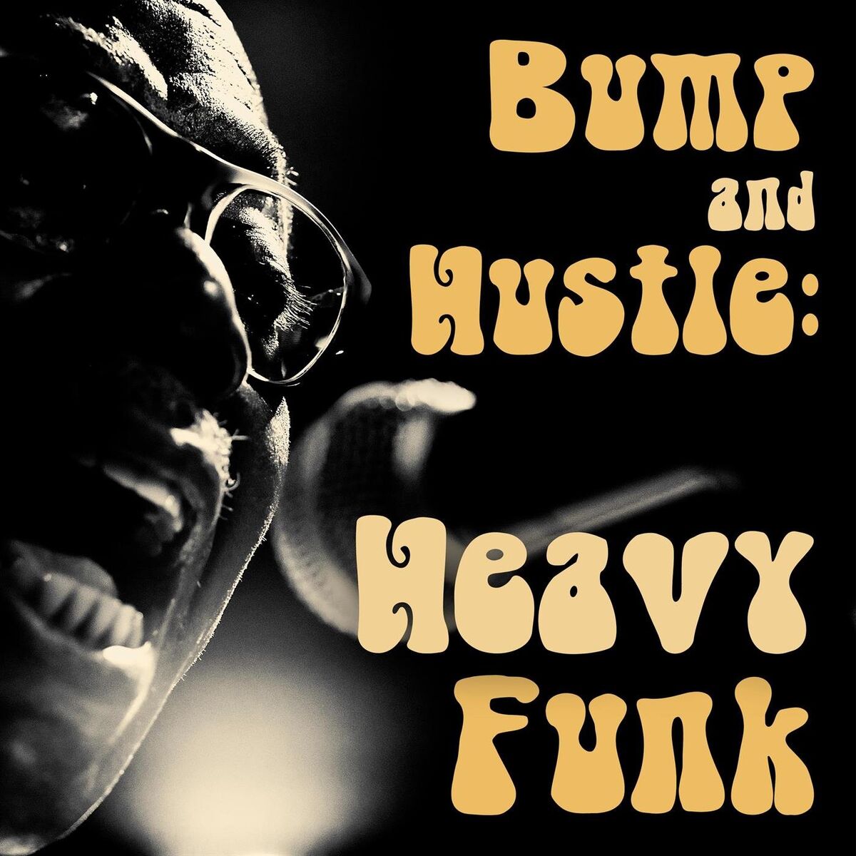 Album cover of Bump and Hustle: Heavy Funk
