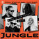 JUNGLE (Sigma x The FaNaTiX Edit) by Sigma album cover