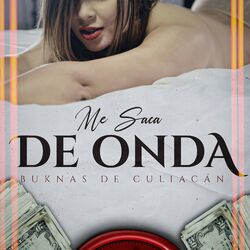 Cover of Me Saca de Onda