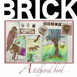 Cover of A Tethered Bird...