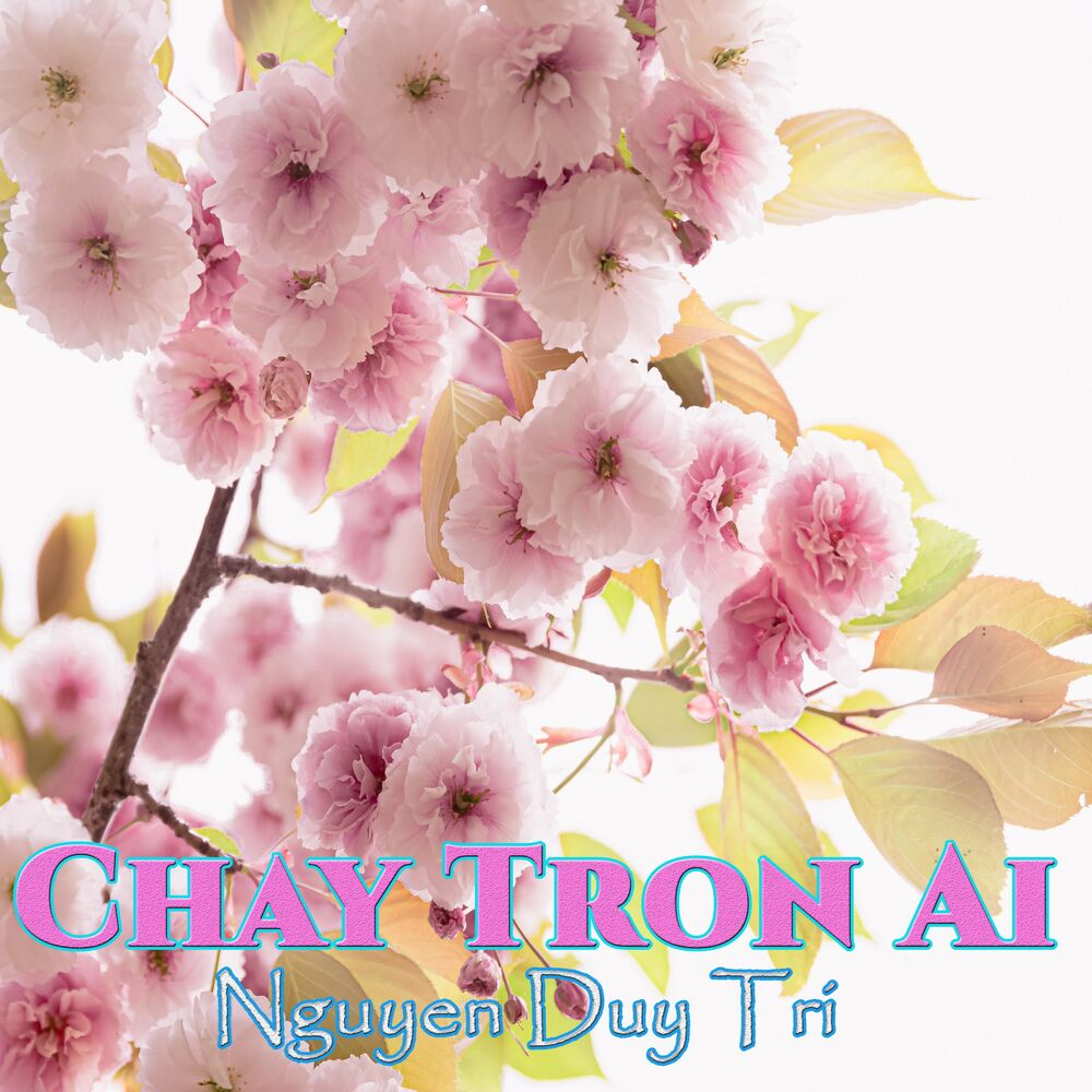 Picture of Chay Tron Ai