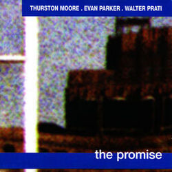 Cover of The Promise