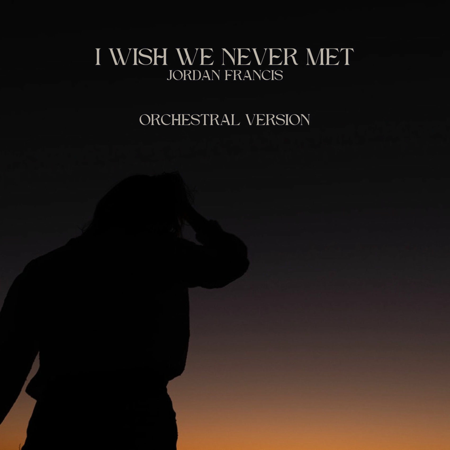Album cover of I Wish We Never Met (Orchestral Version)