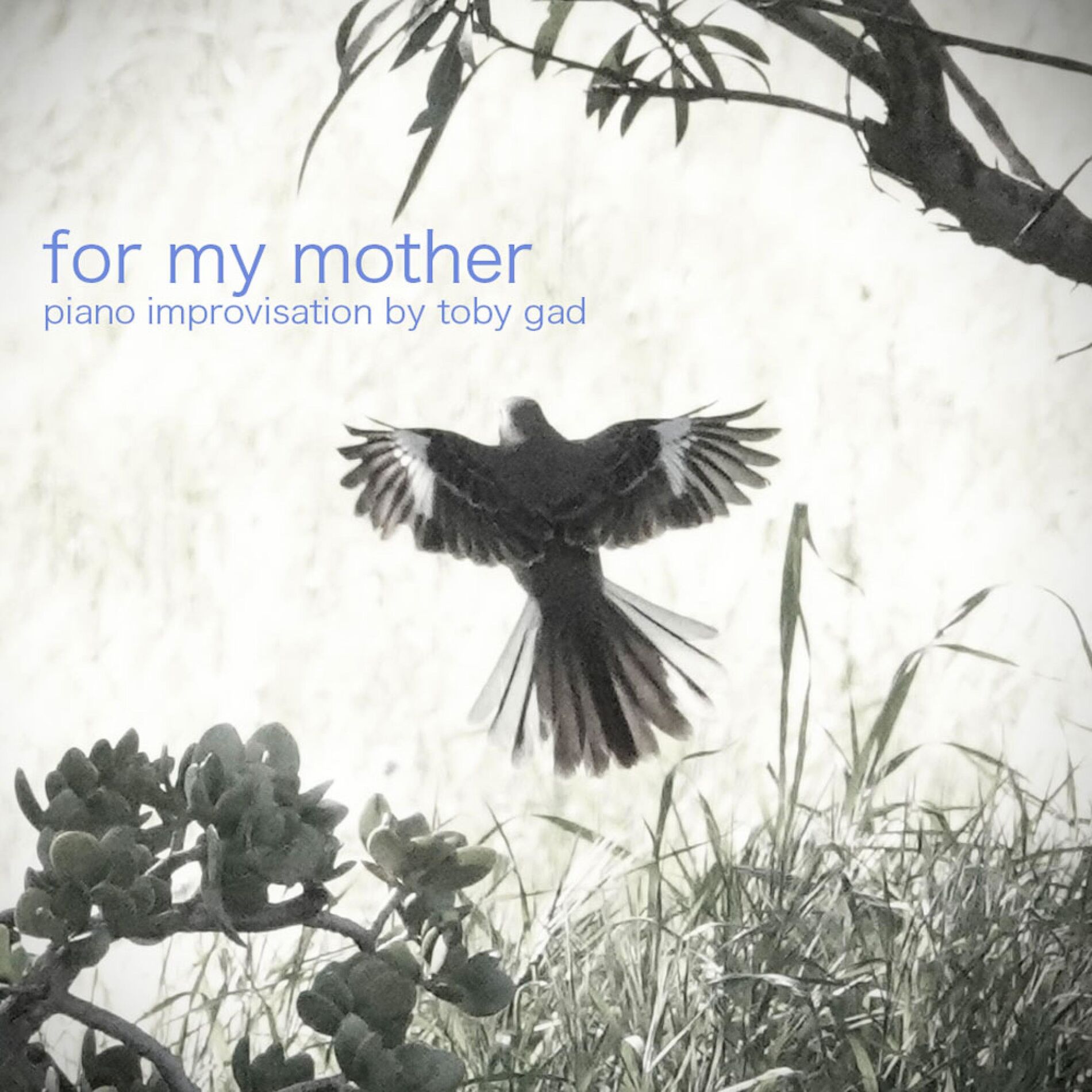 Album cover of For My Mother