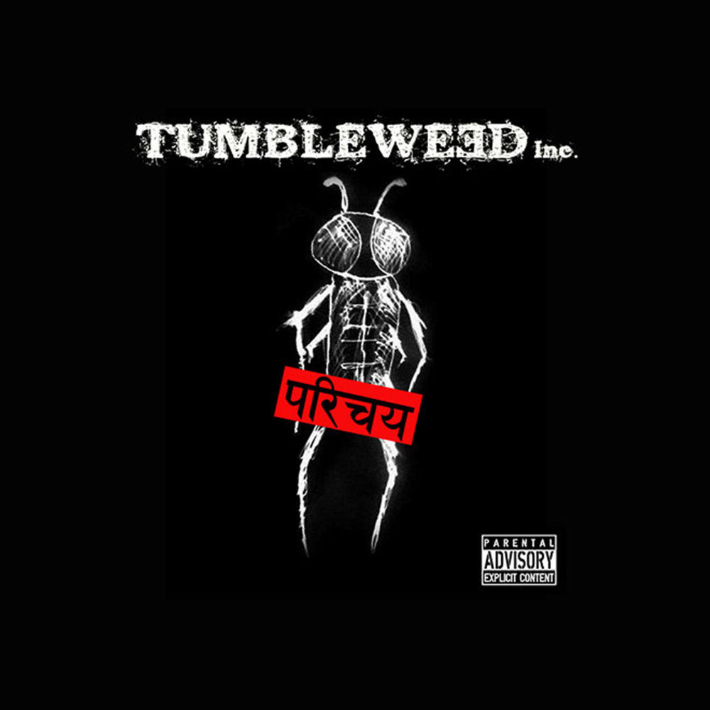 Album artwork for Intro by Tumbleweed