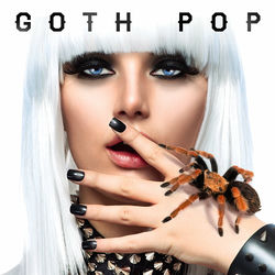 Pochette album