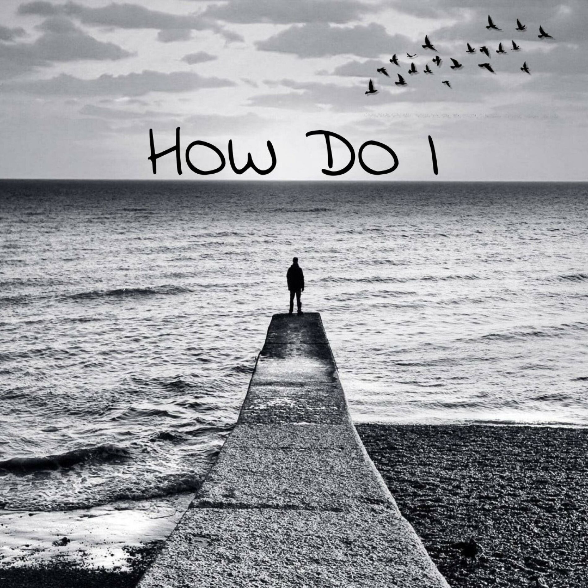 Album cover of How Do I