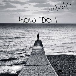 Cover of How Do I
