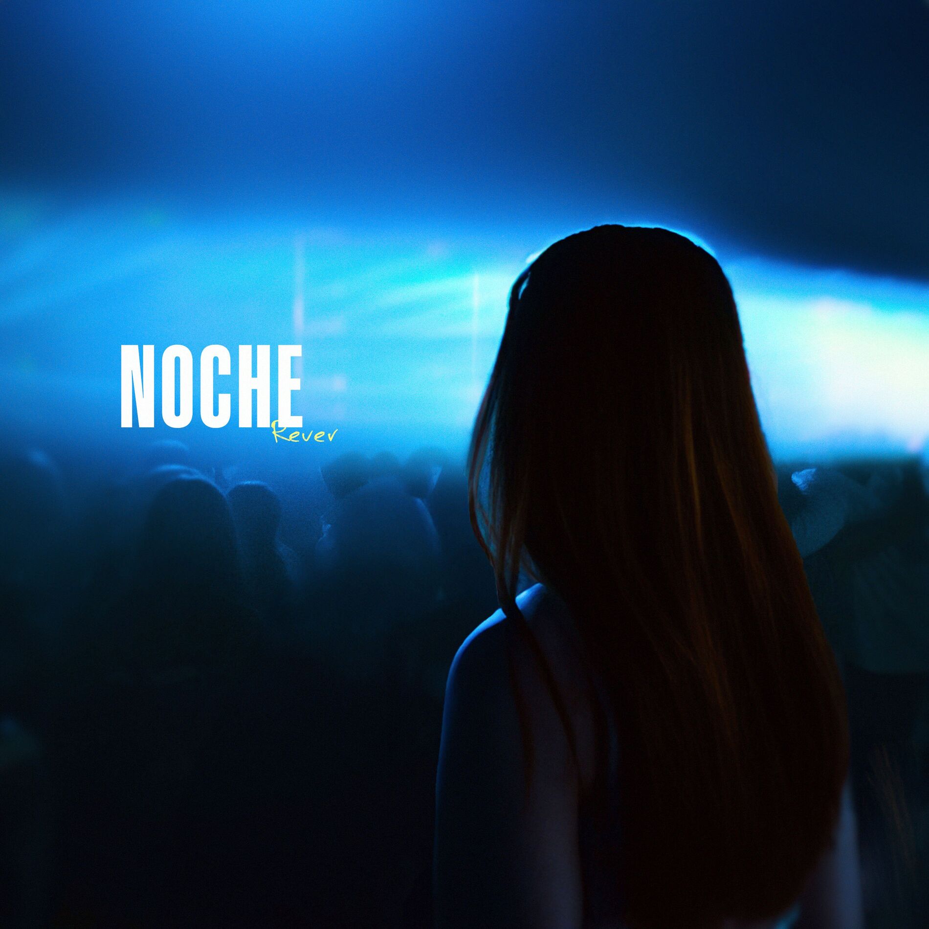 Album cover of Noche